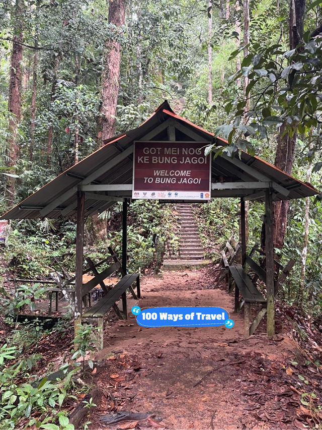 Hiking the Scenic Trails of Bung Jagoi, Bau