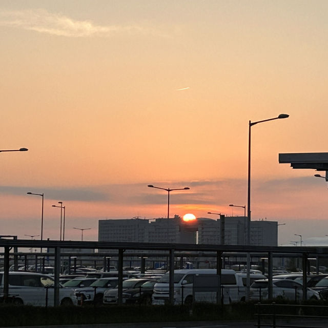 朝、昼、夕やけ