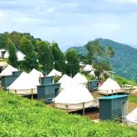 “ภูหมอกดอกไม้รีสอร์ท” ที่พักภูชี้ฟ้า จ.เชียงราย