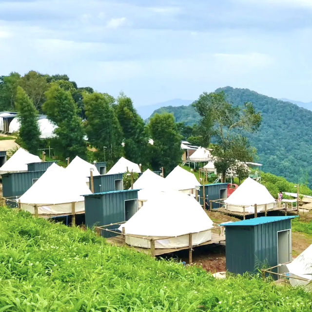 “ภูหมอกดอกไม้รีสอร์ท” ที่พักภูชี้ฟ้า จ.เชียงราย