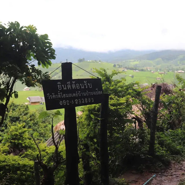 🌳สัมผัสธรรมชาติ นาขั้นบันได ป่าบงเปียง