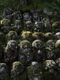 【京都観光】かわいい羅漢像がいっぱい！「愛宕念仏寺」⛩️🗿