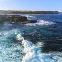 Sydney Splendor: Discovering the Charm of Australia's Iconic City