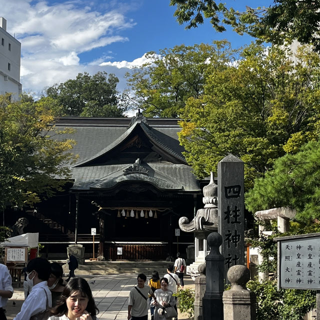 🇯🇵日本長野-國寶松本城