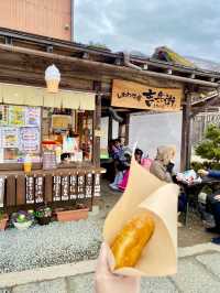 【日本飛騨】白川郷合掌村：世界遺產，獨特的合掌造建築風格