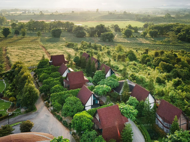 OXY Resort