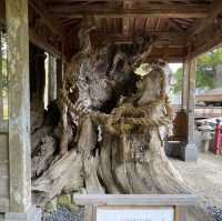 【宮城】仙台の奥座敷・定義如来 西方寺に行ってきた！