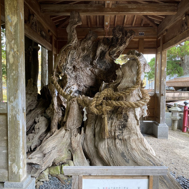 【宮城】仙台の奥座敷・定義如来 西方寺に行ってきた！