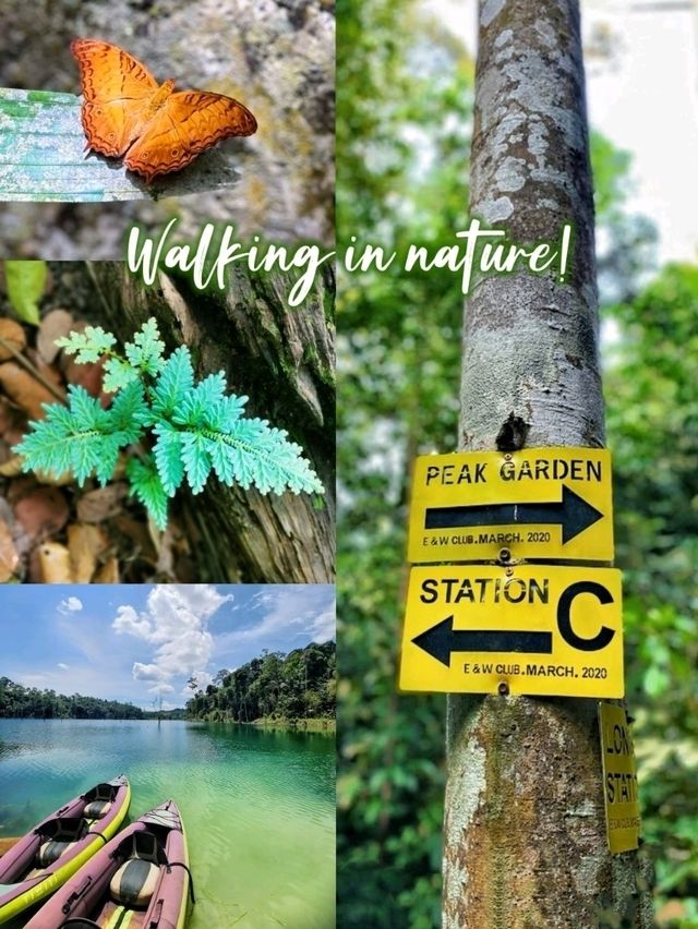 A facinating walk in natute experience! 🌿