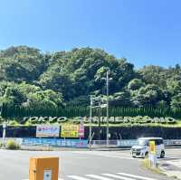 Tokyo summer land