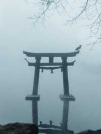 【大分】朝靄の絶景スポット！