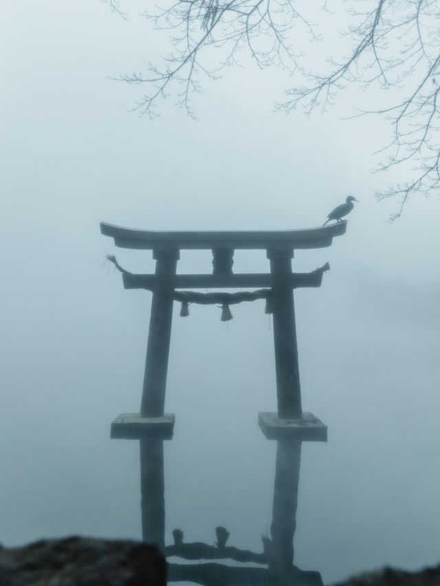 【大分】朝靄の絶景スポット！