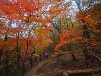 An autymn foliage hiking trails of Bukhansan from Doseonsa