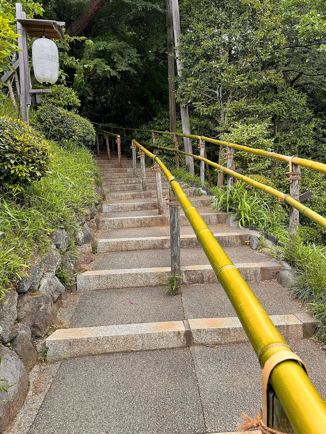 東京世外桃源—椿山莊飯店庭園漫遊指南🍃🌸