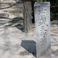 【広島】広島城の歴史と季節の彩が楽しめる鯉城