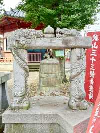 【埼玉県】秋の八角円堂前は銀杏の実が凄い！