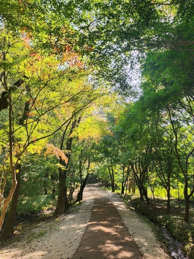 유네스코 등재된 문화유산을 볼 수 있는 김포 장릉♥️