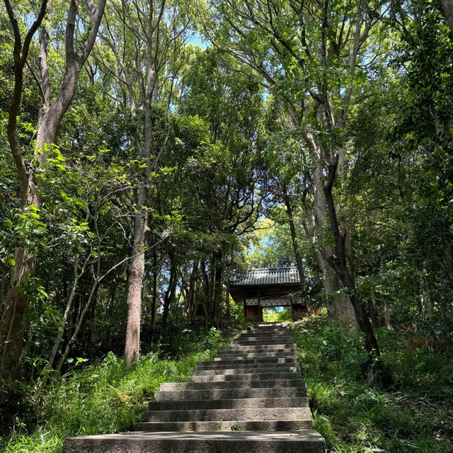 御發神社：隱藏在自然中的靜謐之地 🌲