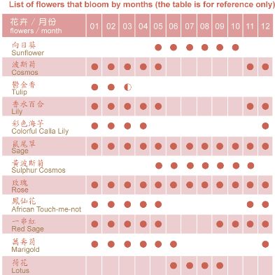一年四季都能賞花「中社觀光花市」🌹