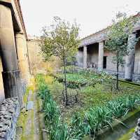 Pompeii resurgence as a bustling city once again