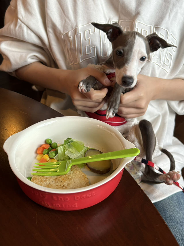 【福岡キャンプ】愛犬と泊まったり食事ができる施設