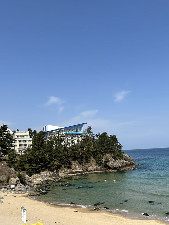 데이트하기 좋은 삼척🌊💙