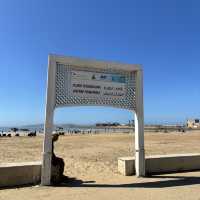 🇲🇦【モロッコ】エッサウィラ！マラケシュから日帰りで行ける