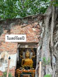 มหัศจรรย์โบสถ์ 400 ปี “วัดสังกระต่าย อ่างทอง”