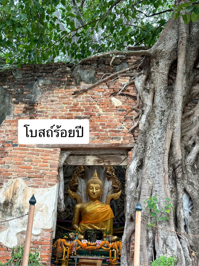 มหัศจรรย์โบสถ์ 400 ปี “วัดสังกระต่าย อ่างทอง”