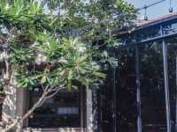 Wabi sabi. วะบิซะบิ • คาเฟ่เปิดใหม่ในเมืองอุบล
