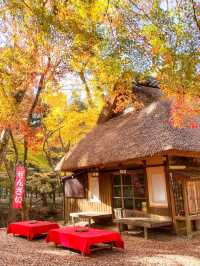 【奈良】タイムスリップしたような古民家カフェ×紅葉