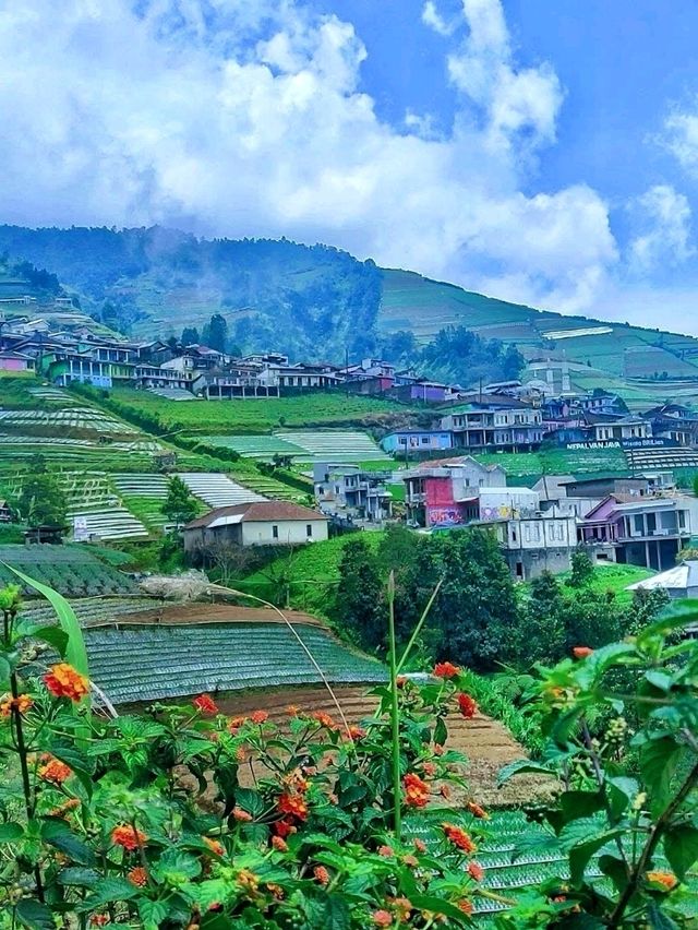 The Nepal Van Java, a picturesque village with friendly peoples!🍃🐞🌿🐐🌾