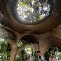 A quiet , relaxing lunch in the heart of Bangkok