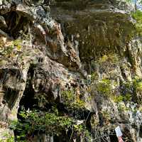 @ WESTCAVE OUTDOOR DISCOVERY CENTER.