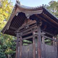 【五社成就宮:京都市東山区】