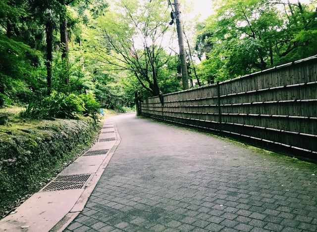 【鎌倉×明月院】あじさいシーズンの絶景スポット