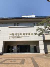 Step Into the Healing Past: A Visit to Yangnyeongsi Oriental Medicine Museum
