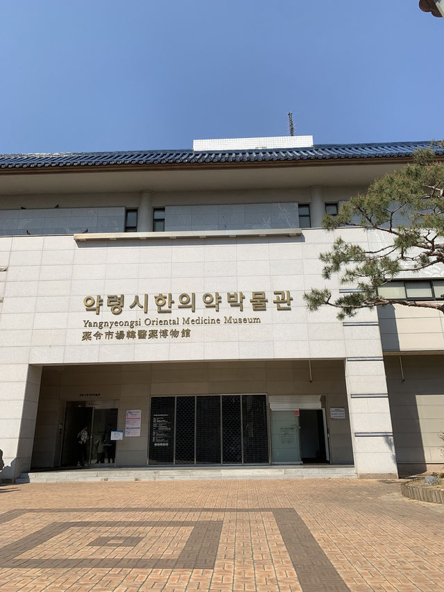 Step Into the Healing Past: A Visit to Yangnyeongsi Oriental Medicine Museum Step Into the Healing Past: A Visit to Yangnyeongsi Oriental Medicine Museum