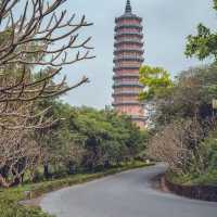 Me Kong city