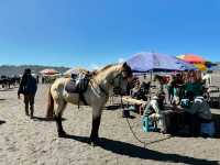 Experiencing the Mystique of Lautan Pasir Bromo