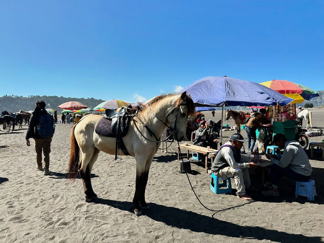 Experiencing the Mystique of Lautan Pasir Bromo