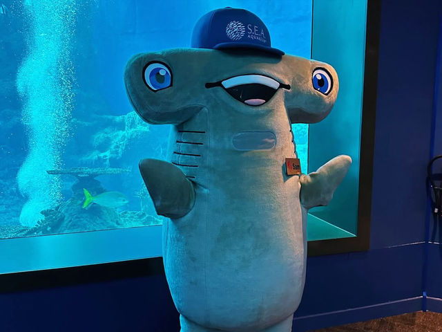 Dive into the Wonders of S.E.A. Aquarium @ Sentosa