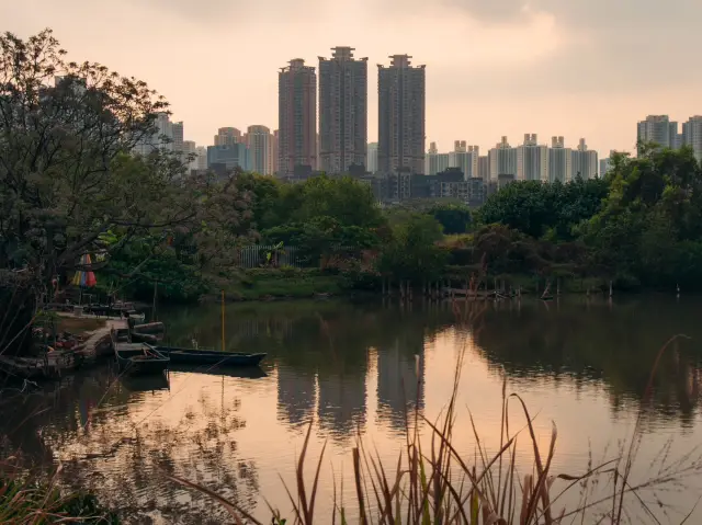 流浮山 魚塘和金蠔