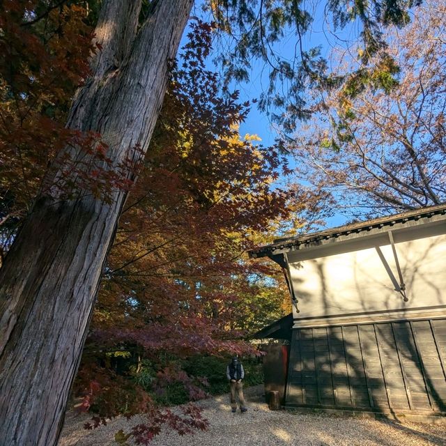 走訪武士的家，角館武家屋敷通：青柳家