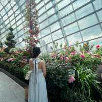 Connecting with nature in Flower dome Singapore 