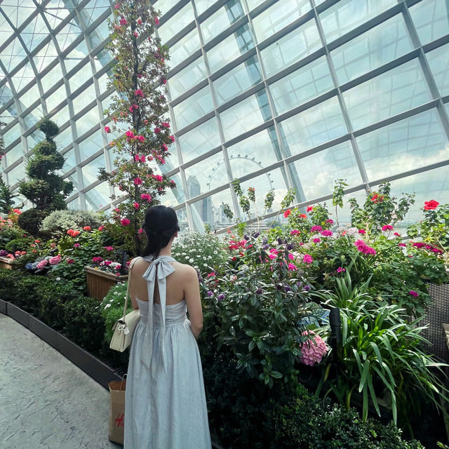 Connecting with nature in Flower dome Singapore 