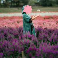 🌹🎄🌱 .. ปล่อยใจไปกับ #สวนดอกไม้เชียงใหม่
