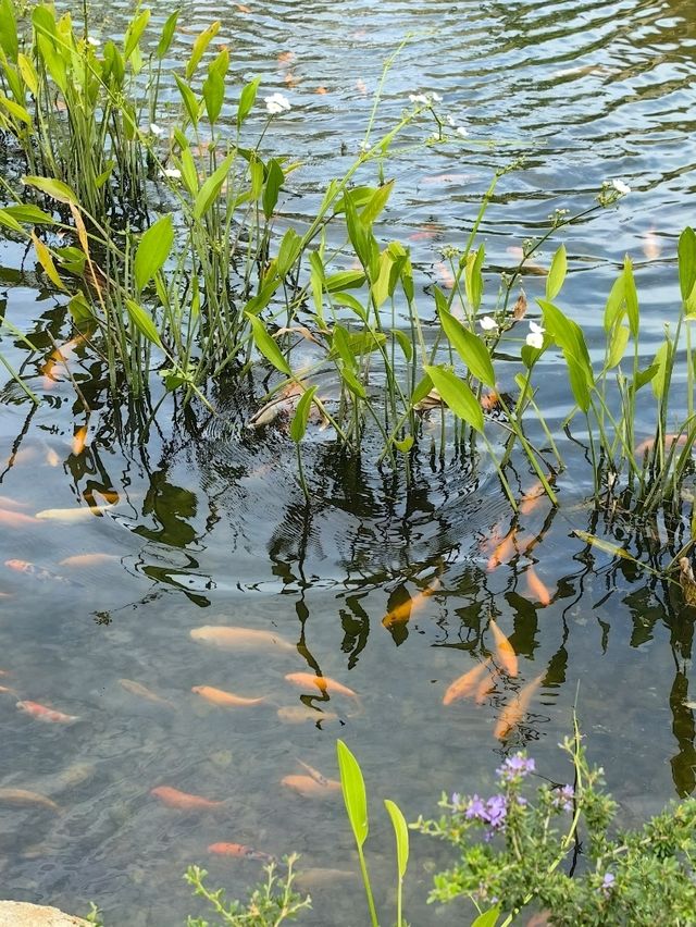 與大自然親密接觸,沉浸在平靜氛圍的Spa