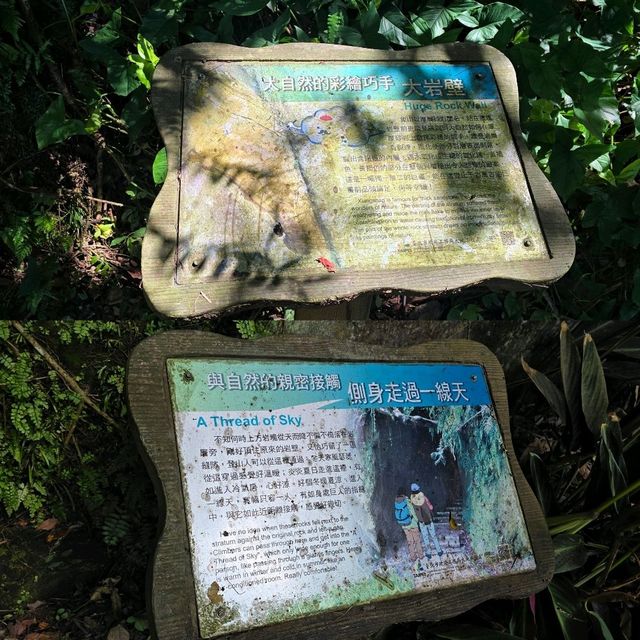 台北輕鬆親山步道🤩