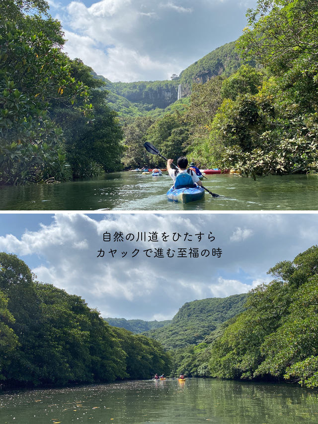 【西表島】楽しいアクティビティを紹介✨